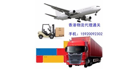 浙江東陽進口刺猬紫檀倉儲清關與物流全攻略 一站式門到門服務解析