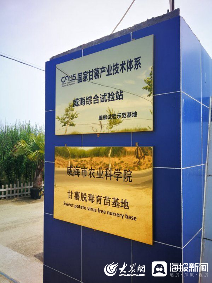 信息化賦能扶貧攻堅，激活鄉村振興新引擎